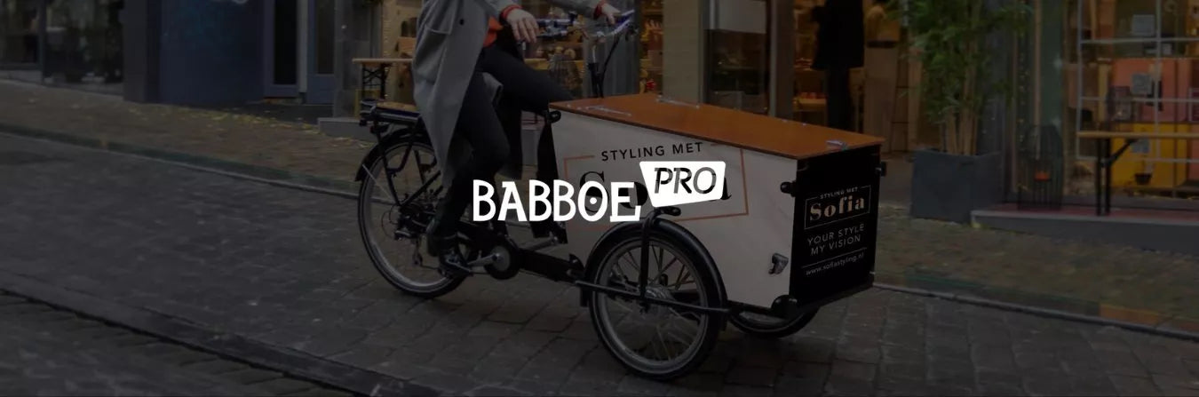 Babboe - Gamme cargo biporteur et triporteur pour les professionnels - Nexyo.fr