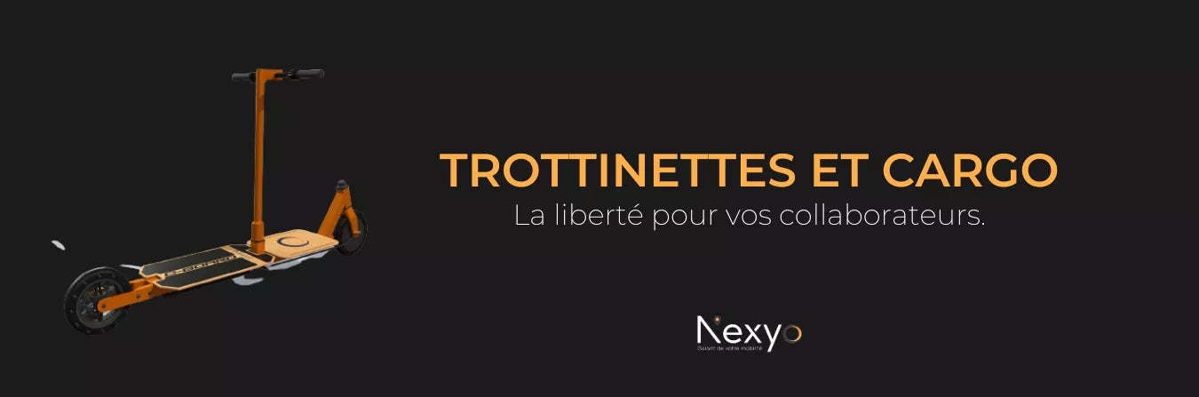 Trottinettes électriques - Solutions Business - Nexyo.fr