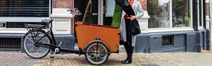 Babboe -  Pro Trike-E - Excellent Vélo cargo par Babboe - Seulement €3399.00! Acheter maintenant sur Nexyo.fr