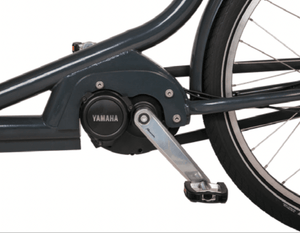Babboe -  Pro Trike XL - Excellent Vélo cargo par Babboe - Seulement €6899.00! Acheter maintenant sur Nexyo.fr