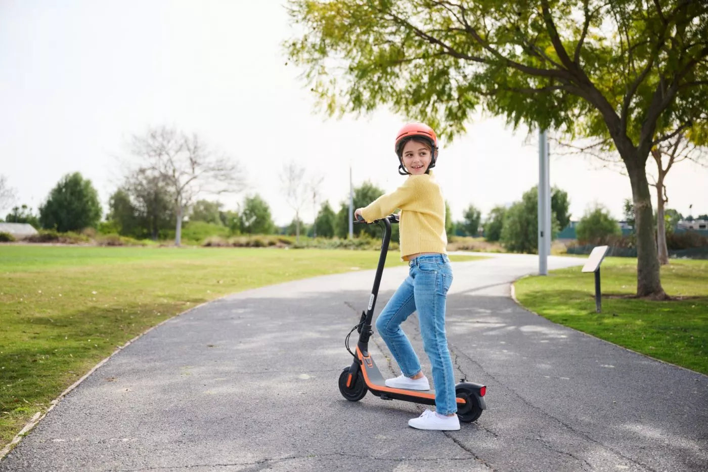 Trottinette électrique Ninebot eKickScooter C2 E Powered by Segway