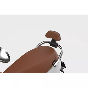 Sissybar avec coussin brun pour scooters Segway - Excellent Accessoires par Segway - Seulement €69.95! Acheter maintenant sur Nexyo.fr
