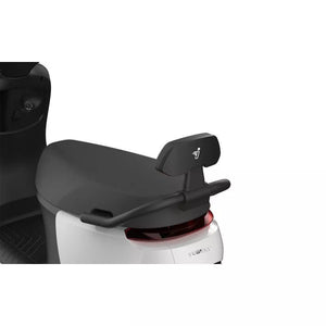 Sissybar avec coussin noir pour scooters Segway - Excellent Accessoires par Segway - Seulement €69.95! Acheter maintenant sur Nexyo.fr